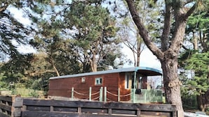 A wooden cabin with a green porch, surrounded by trees.