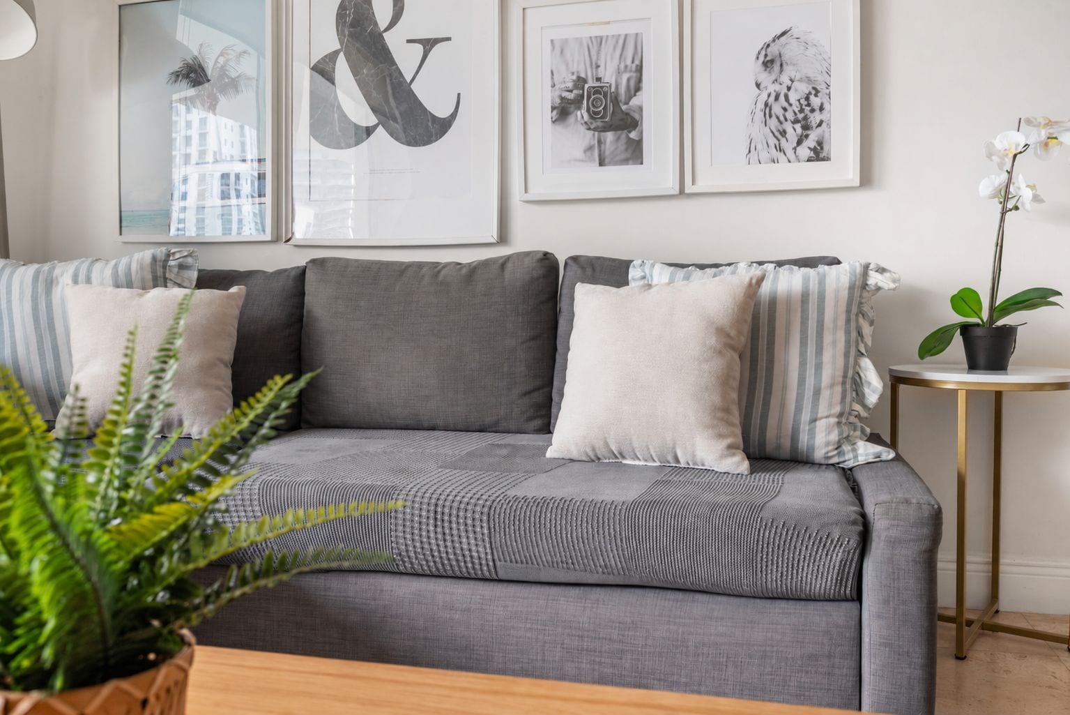 A grey sofa with striped pillows, a framed photograph of a camera, and a potted plant on a small table.