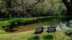 Zwei Stühle an einem ruhigen Teich in einem bewaldeten Gebiet.