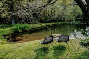 Zwei Stühle an einem ruhigen Teich in einem bewaldeten Gebiet.