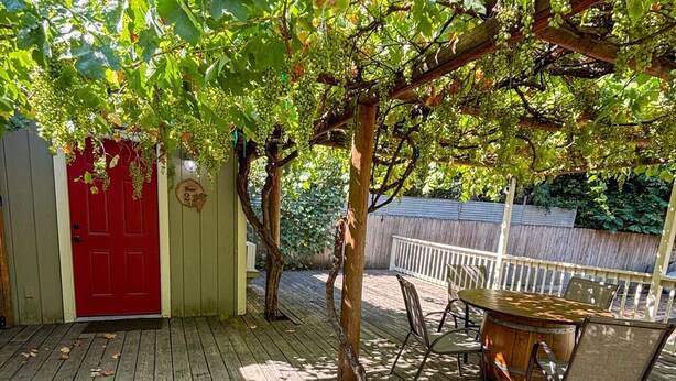 En træterrasse med en rød dør, et overdækket siddeområde med stole, og et pergola med drueplanter.