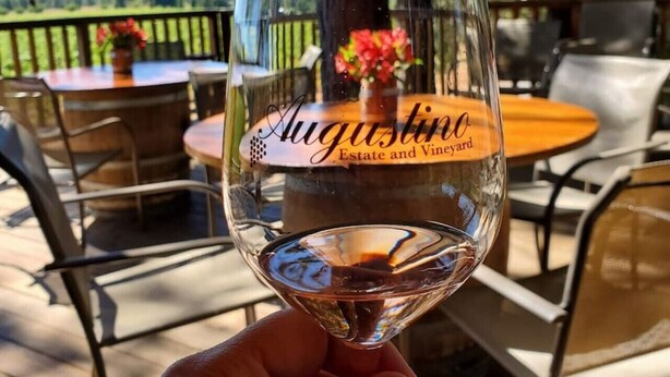 A hand holding a wine glass with 'Augustino Estate and Vineyard' written on it, set against a backdrop of outdoor seating and trees. - Augustino Vineyard Winery Cabin Cave Junction (O'Brien)