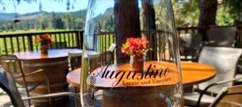 Augustino Vineyard Winery Cabin Cave Junction