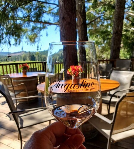 Augustino Vineyard Cowboy Cabin Cave Junction