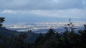 Una vista panorámica de una ciudad desde un punto elevado, rodeada de colinas y árboles.