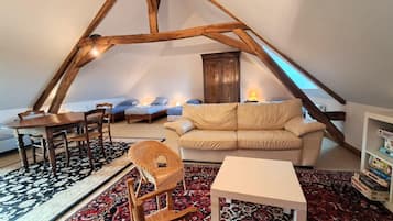 TV, fireplace, table tennis, books