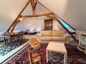 Télévision, cheminée, table de tennis de table, livres