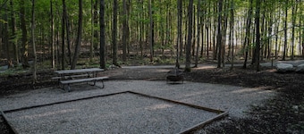 Primitive Camping Site