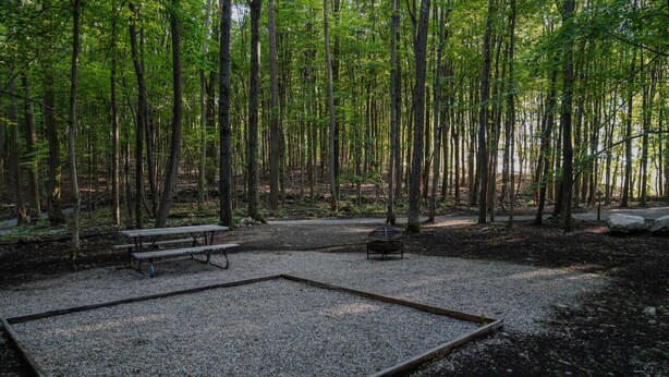 Un campamento en medio de un bosque con mesas de picnic y un pozo para fuego.