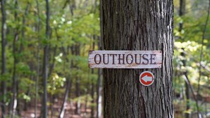 Un letrero en un árbol que dice 'Outhouse' con una flecha roja apuntando a la izquierda.
