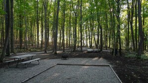 Zona boscosa con mesas de picnic y un pozo para fuego.