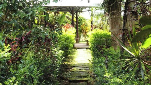 A stone pathway leading through a lush garden with dense foliage on either side.