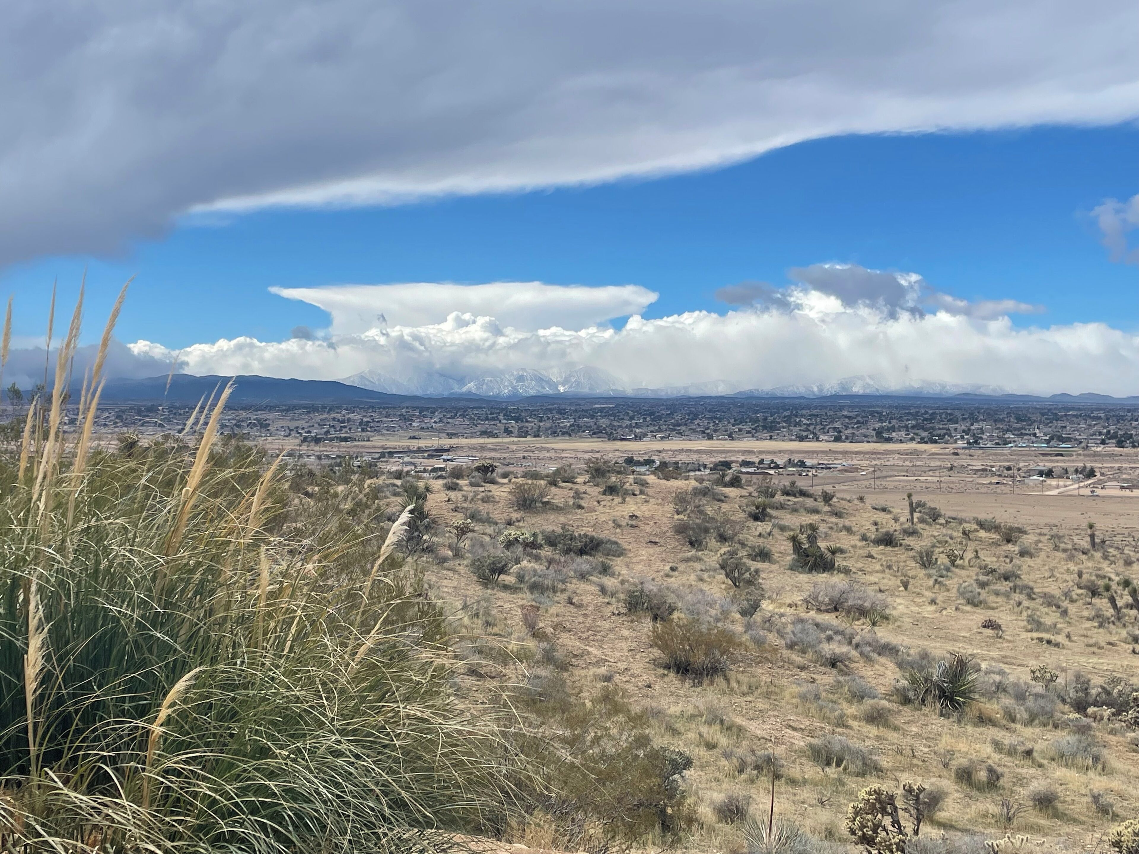 Un paisaje extenso con vegetación escasa y montañas a lo lejos.