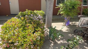 Un edificio con un letrero de prohibido fumar, un árbol y diversas plantas.
