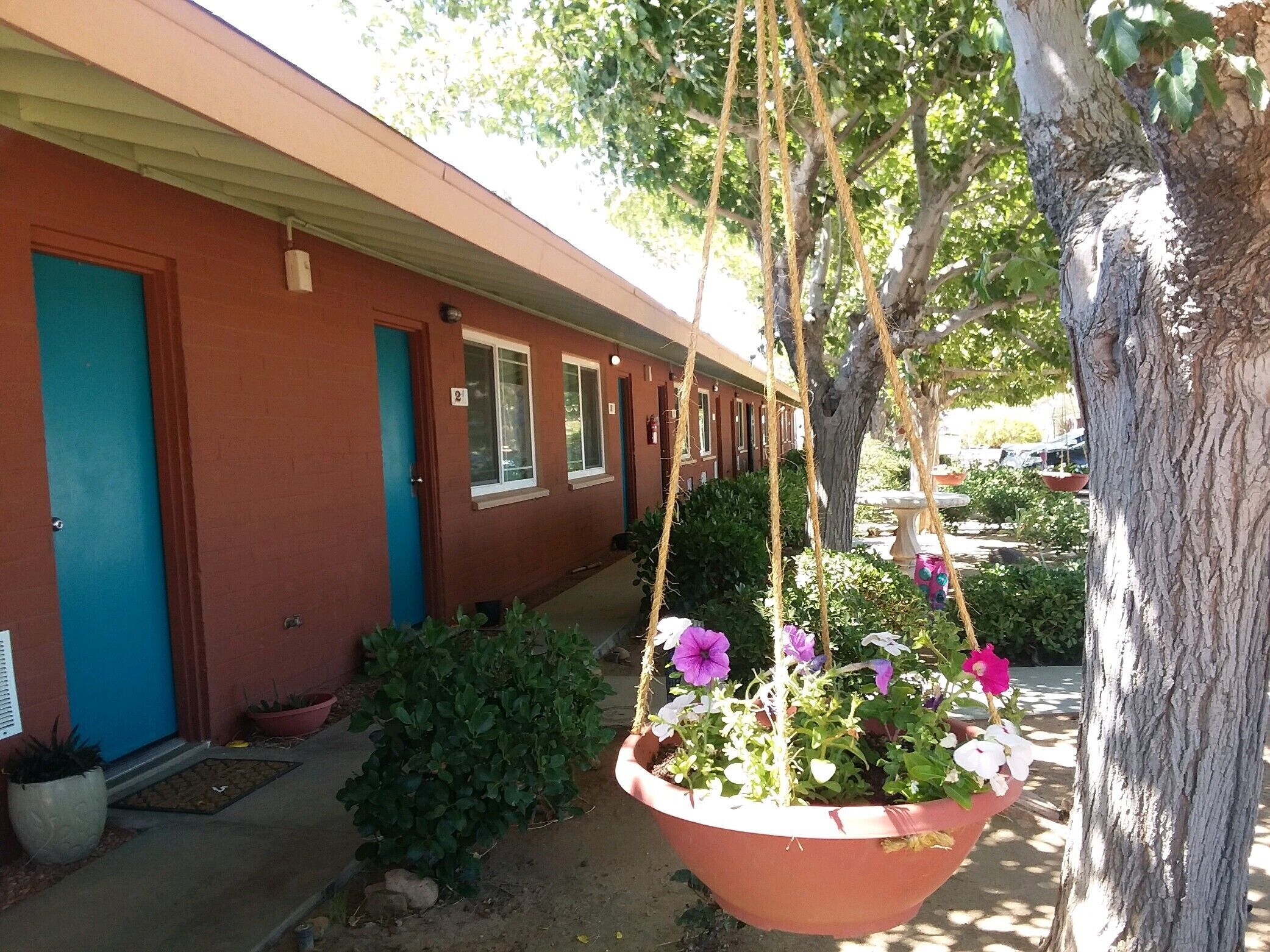 Una hilera de habitaciones de motel rojas con puertas azules, una maceta colgante con flores moradas y blancas, y un árbol con cuerdas colgando.