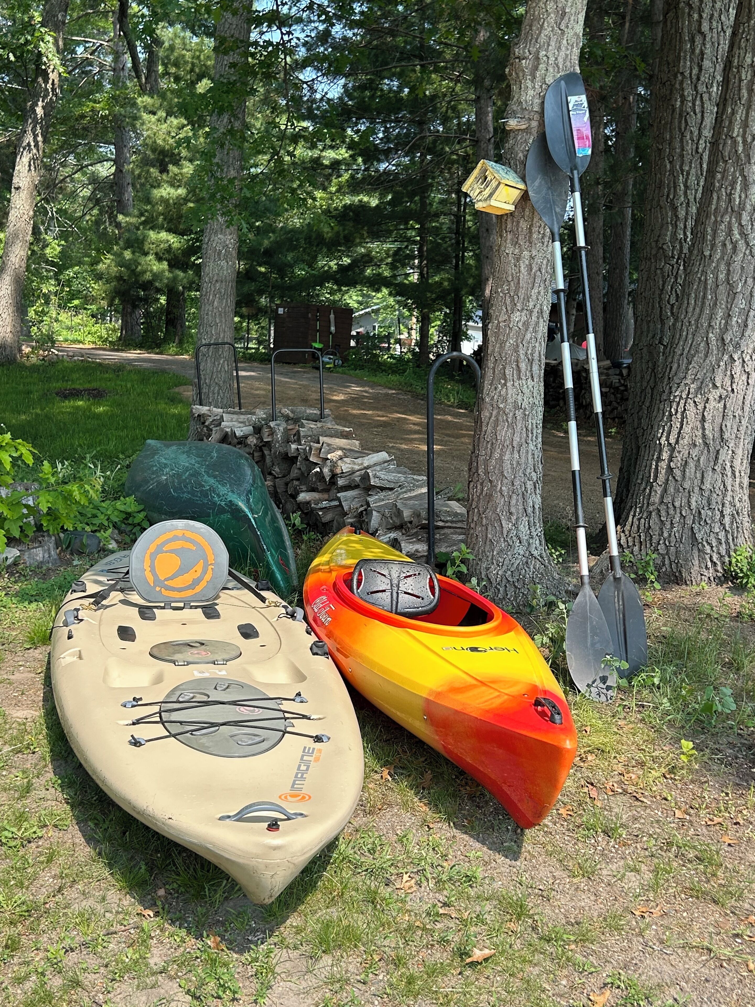 Two kayaks and paddles leaning against trees in a wooded area.