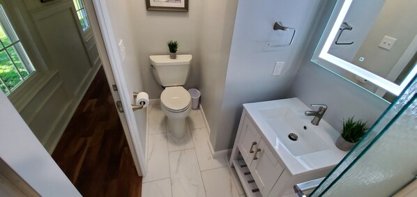 A bathroom with a toilet, sink, and a small potted plant.