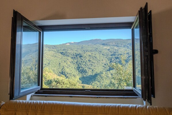 Vista da propriedade