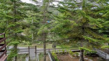 Apartment, Balcony, Garden View | Garden view