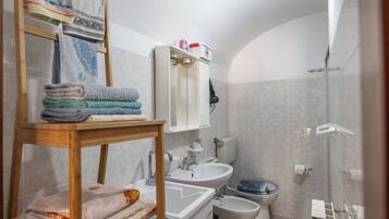 Casa | Bany | Dutxa, assecador de cabells, bidet i tovalloles