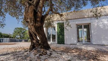 Façana frontal de l'allotjament