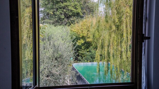 A view through a window of a swimming pool surrounded by dense foliage and trees. - A Casa Di Lea (Mondavio)