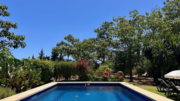 A rectangular swimming pool with clear blue water, surrounded by lush greenery and trees. - Holiday Rental Pollensa -  Can Roig (Pollensa / Pollença)