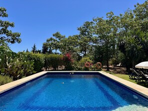 Une piscine rectangulaire à l’eau d’un bleu cristallin, entourée d’une végétation luxuriante et d’arbres.