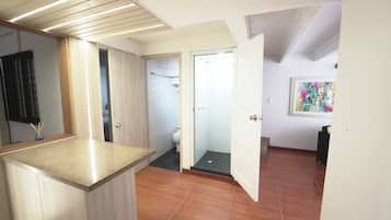 淋浴设施、吹风机、坐浴桶、毛巾