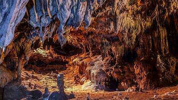 Une grotte ornée de stalactites et de stalagmites, un terrain accidenté et un plafond de grotte irrégulier.