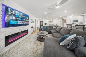 TV connectée, cheminée, livres, vidéothèque