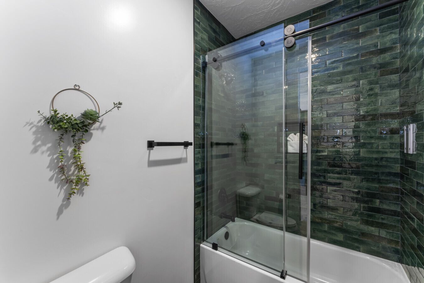 A modern bathroom with a glass-enclosed shower, a white bathtub, and a wall-mounted plant.