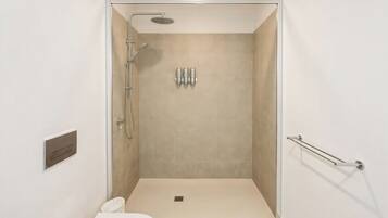 A modern bathroom with a walk-in shower, a toilet, and a handrail.