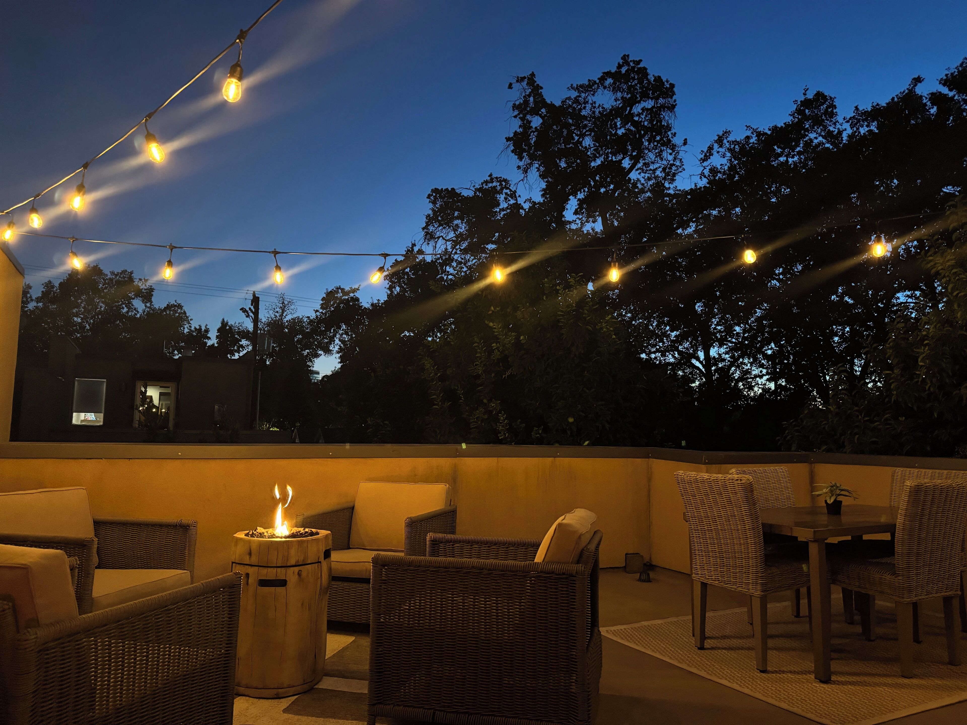 Sakura- Zen- Roof top- stylish-cozy- Downtown Sac- 1 mile from Golden 1  