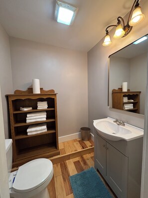 Shower, jetted bath, hair dryer, towels