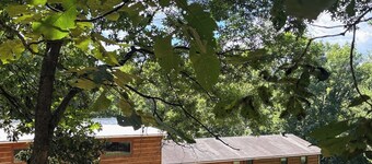 Hocking Hills Rustic Lodge Perfect 4 Large Groups