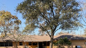 A backyard with a lawn, a barbecue grill, and a swimming pool. - River Run Retreat - Cowboy Pool, Fire Pit & Pool Table! Close to Campus & River (San Marcos)