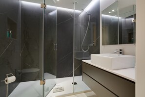 Shower, hair dryer, towels