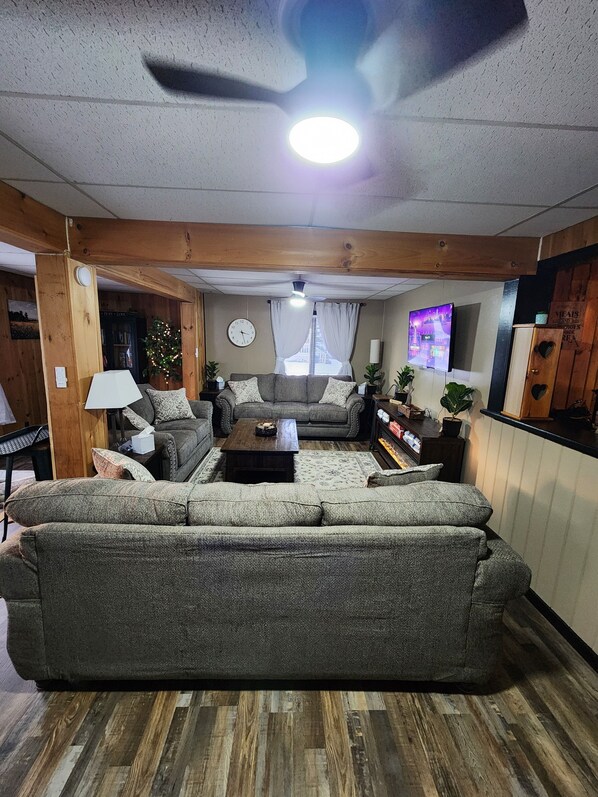 Smart TV, fireplace, books