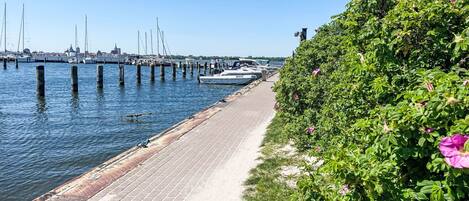 Eine Uferpromenade mit Pflasterweg, Booten, die am Steg liegen, und üppiger Bepflanzung entlang des Weges.
