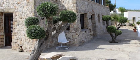 テラス / パティオ