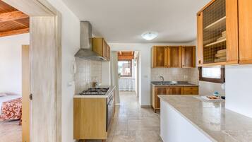 Fridge, oven, stovetop, electric kettle