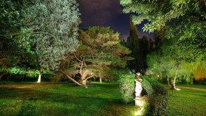 A nighttime garden with well-maintained grass, various trees, and a statue. - Villa 'Dependance' with Shared Pool, Wi-Fi and Air Conditioning (Lecce)