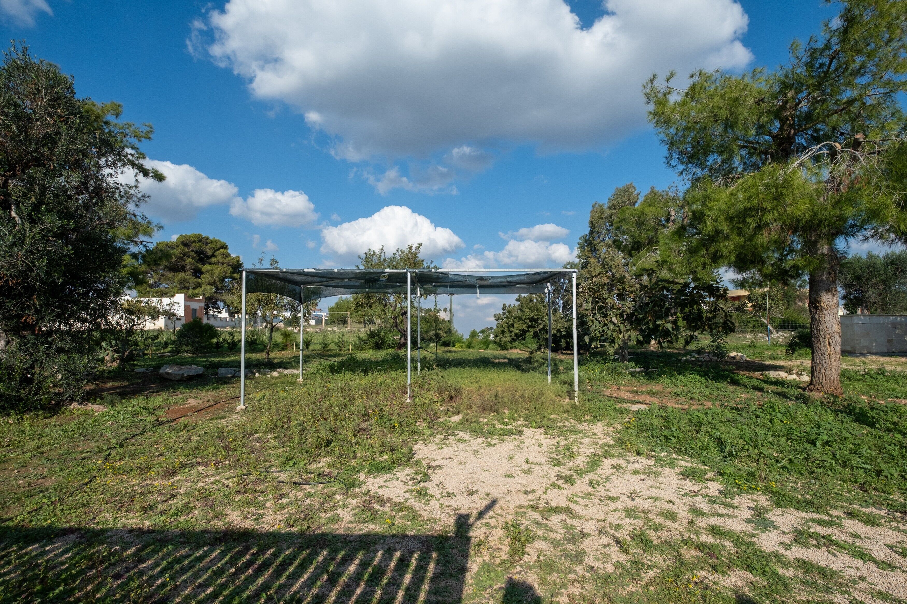 Un espace extérieur abrité, doté d’une structure métallique, entouré d’arbres et d’herbe.