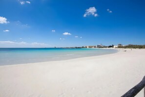 Playa en los alrededores 