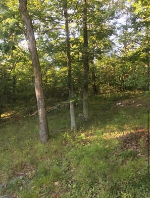 Miscellaneous - By Everything, Away from it all! Wi-Fi camping in Iron County (Ironton)