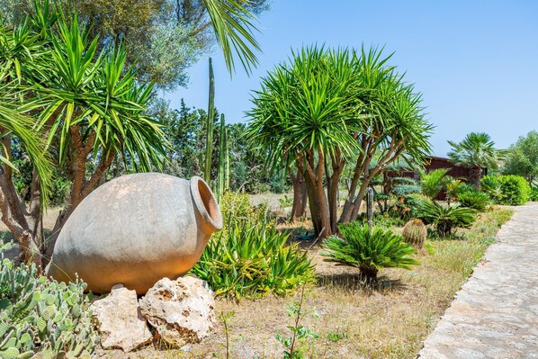 A garden with a large terracotta pot, cacti, and palm trees.