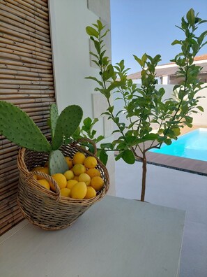 A wicker basket with lemons and a cactus on a balcony with a pool view.
