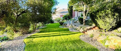 Área da propriedade