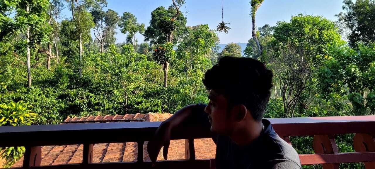 A person sitting on a balcony with a view of dense greenery and trees.